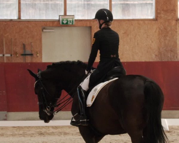 Reitturnier Balingen 2024
