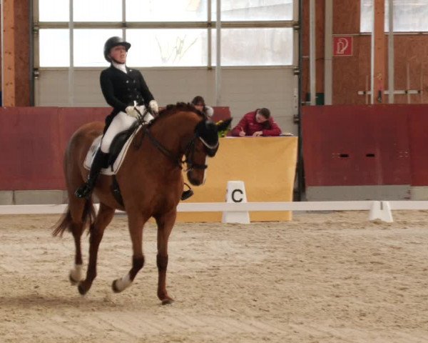 Reitturnier Balingen 2024