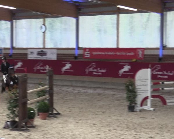 Reitturnier Kaldenkirchen - Gestüt Seehof 2024