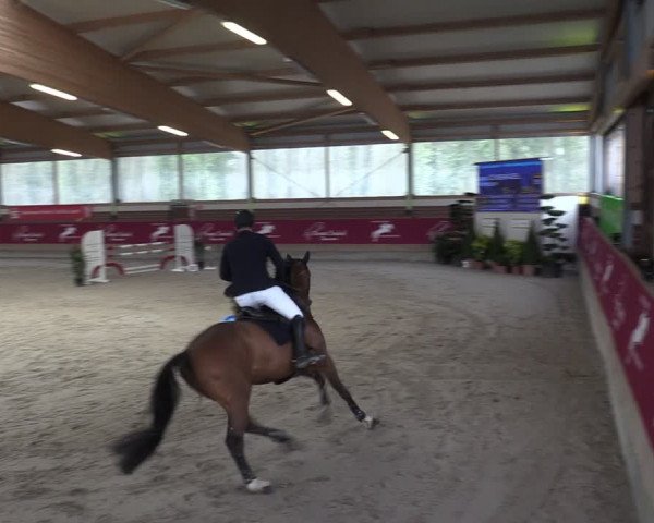 Reitturnier Kaldenkirchen - Gestüt Seehof 2024