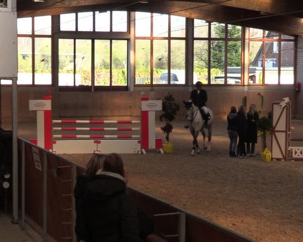 Reitturnier Leverkusen-Rheindorf 2024