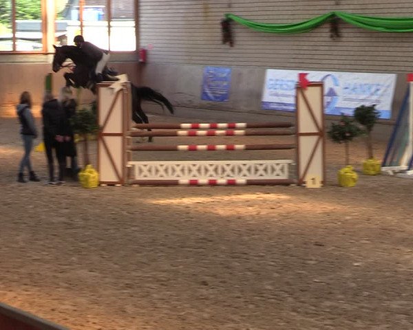 Reitturnier Leverkusen-Rheindorf 2024