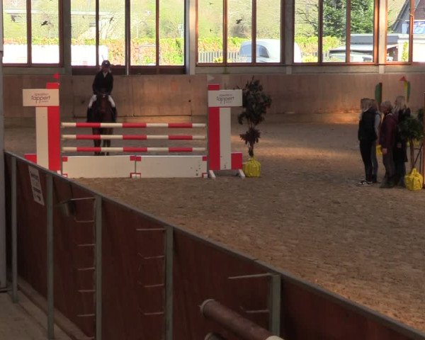 Reitturnier Leverkusen-Rheindorf 2024