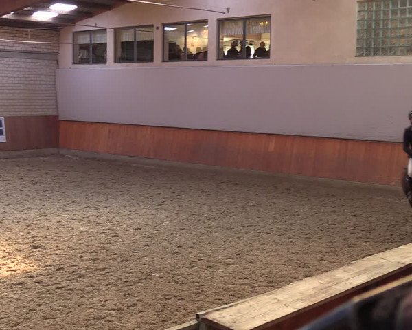 Reitturnier Leverkusen-Rheindorf 2024