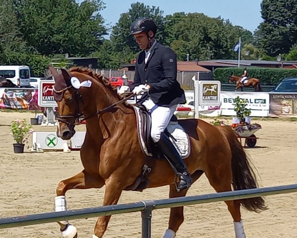 Frank Hoffmann- Kösters
