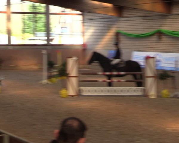 Reitturnier Leverkusen-Rheindorf 2024