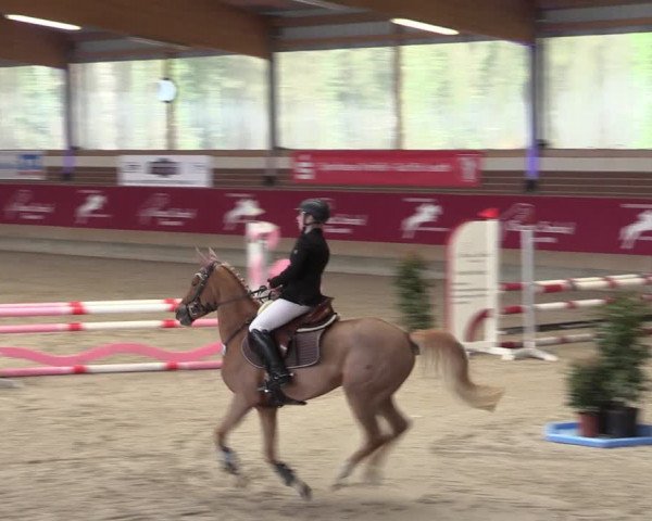 Reitturnier Kaldenkirchen - Gestüt Seehof 2024