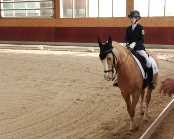 Reitturnier Balingen 2024