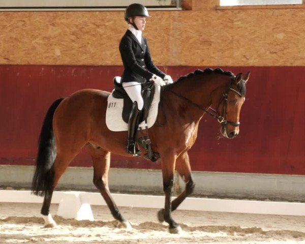 Reitturnier Balingen 2024
