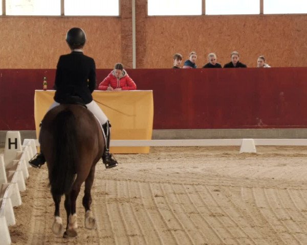 Reitturnier Balingen 2024