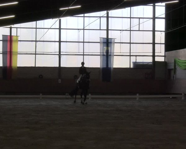 Reitturnier Hellefeld 2024