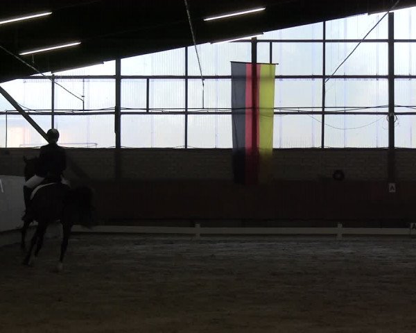 Reitturnier Hellefeld 2024