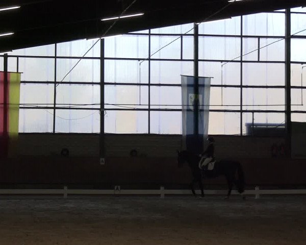 Reitturnier Hellefeld 2024