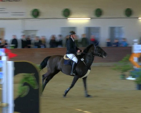 Reitturnier Coesfeld-Lette 2024