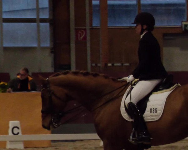 Reitturnier Balingen 2024