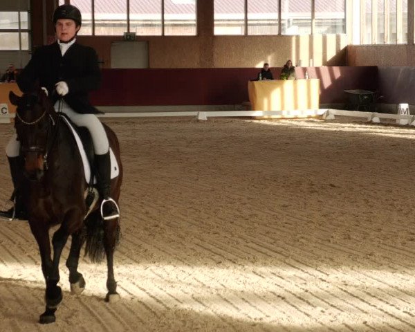 Reitturnier Balingen 2024