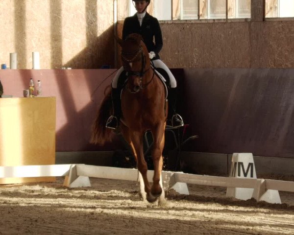 Reitturnier Balingen 2024