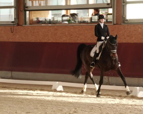 Reitturnier Balingen 2024