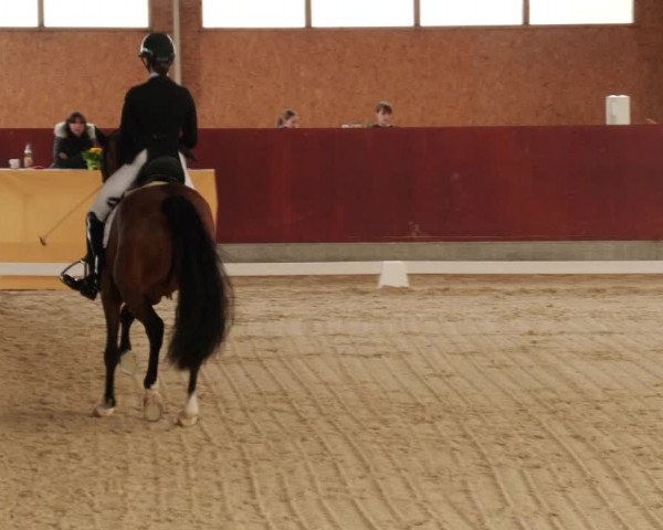 Reitturnier Balingen 2024