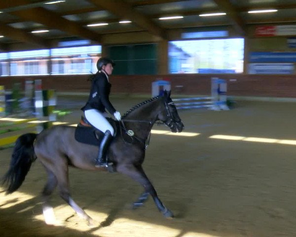 Reitturnier Coesfeld-Lette 2024
