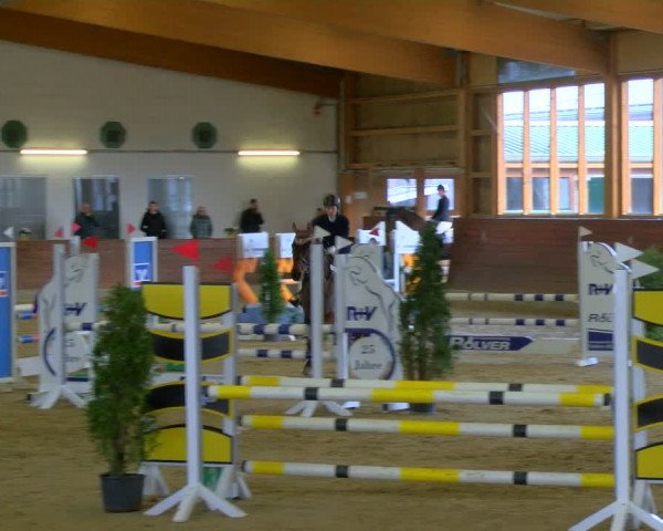 Reitturnier Coesfeld-Lette 2024