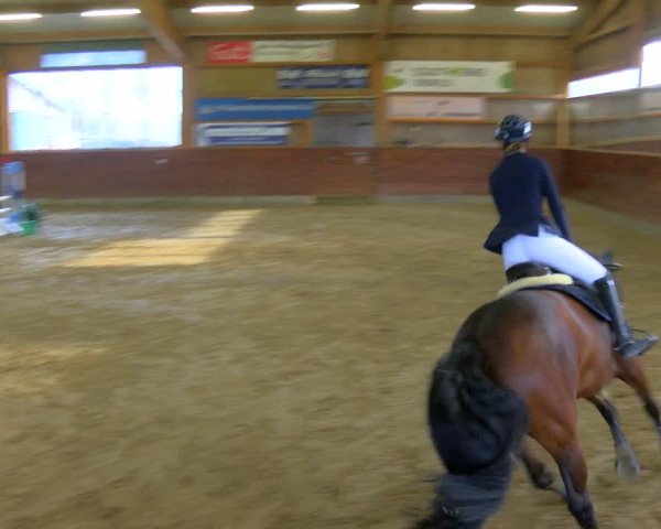 Reitturnier Coesfeld-Lette 2024