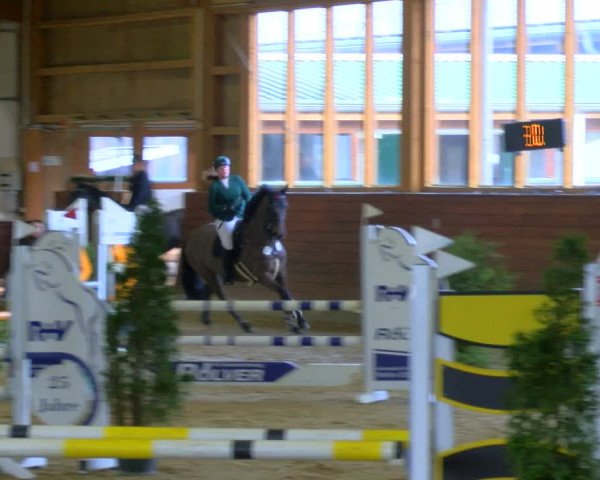 Reitturnier Coesfeld-Lette 2024