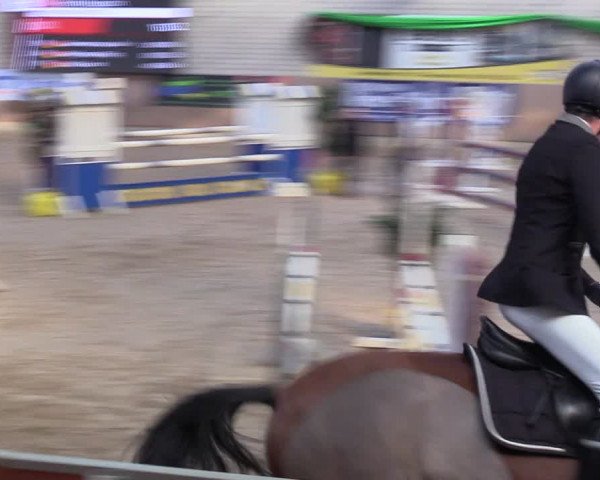 Reitturnier Leverkusen-Rheindorf 2024