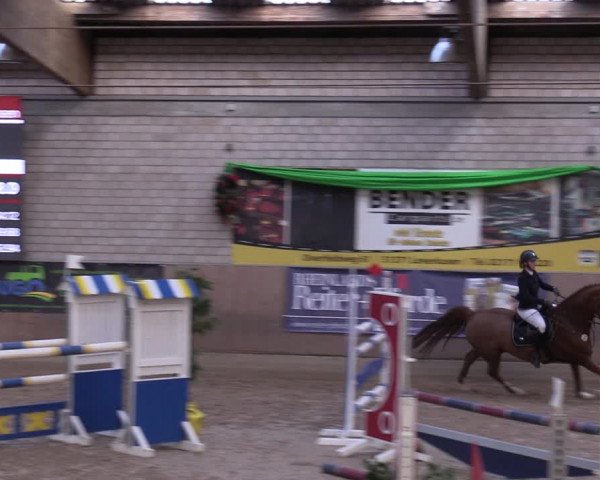 Reitturnier Leverkusen-Rheindorf 2024