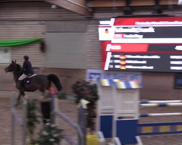 Reitturnier Leverkusen-Rheindorf 2024