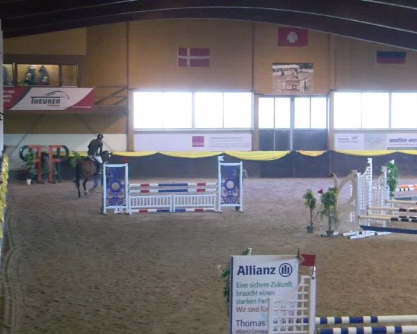 Reitturnier Sauldorf-Boll 2024