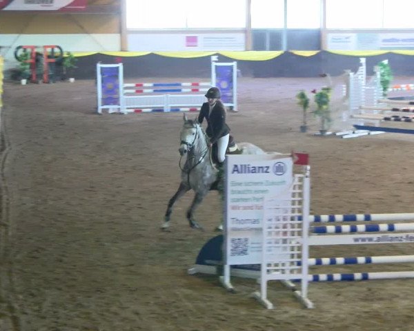 Reitturnier Sauldorf-Boll 2024