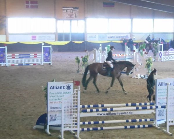 Reitturnier Sauldorf-Boll 2024