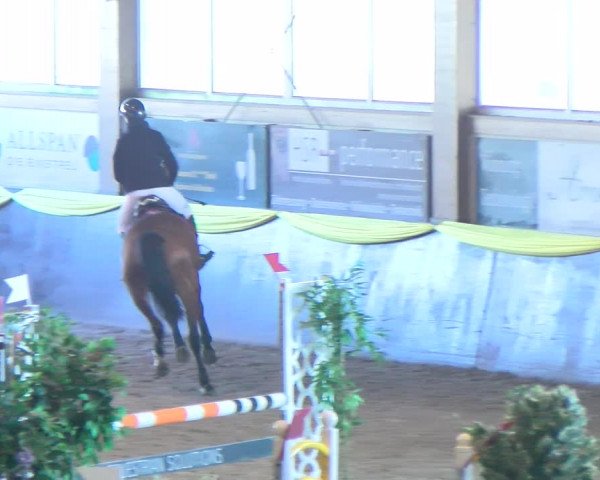 Reitturnier Sauldorf-Boll 2024