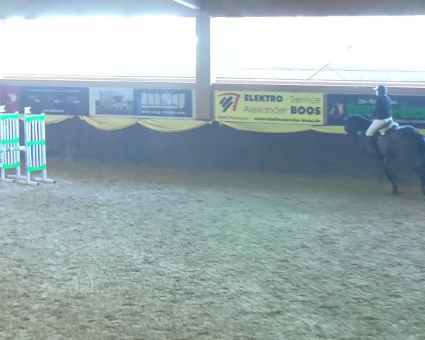 Reitturnier Sauldorf-Boll 2024