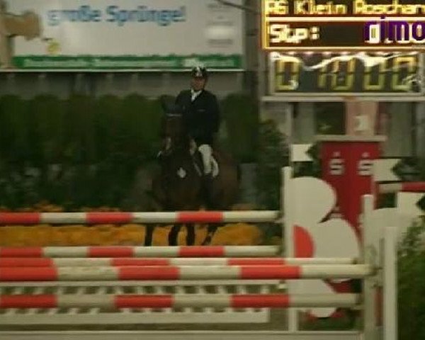 Reitturnier Vreden 2011