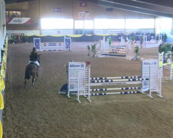 Reitturnier Sauldorf-Boll 2024