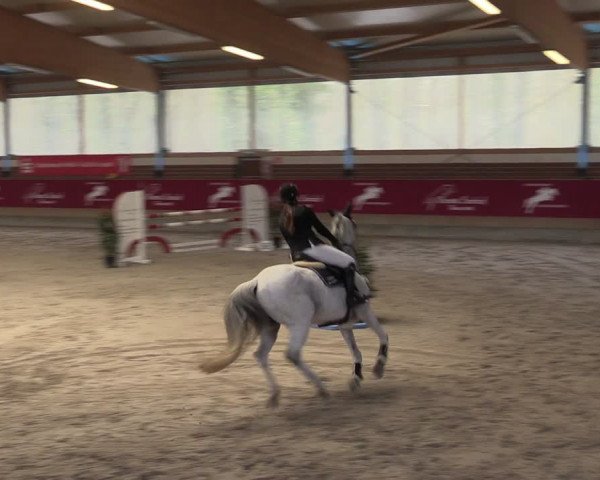 Reitturnier Kaldenkirchen - Gestüt Seehof 2024