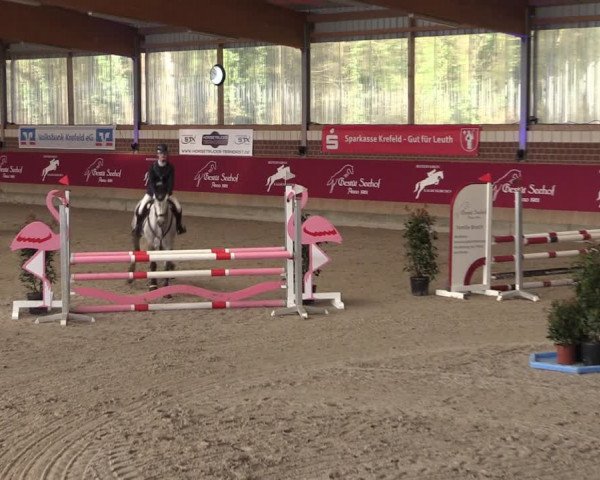 Reitturnier Kaldenkirchen - Gestüt Seehof 2024