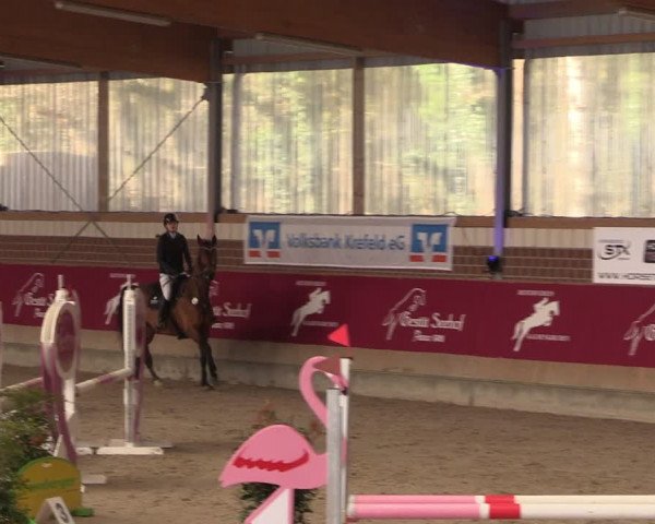 Reitturnier Kaldenkirchen - Gestüt Seehof 2024