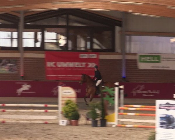 Reitturnier Kaldenkirchen - Gestüt Seehof 2024