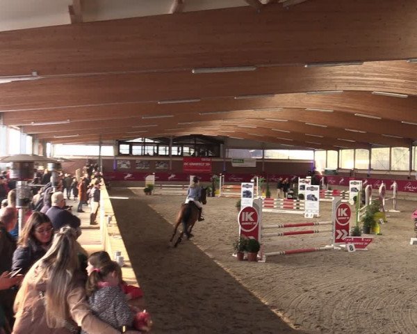 Reitturnier Kaldenkirchen - Gestüt Seehof 2024