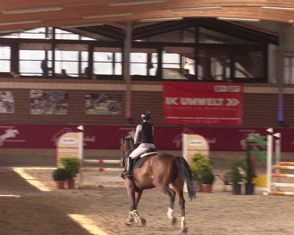 Reitturnier Kaldenkirchen - Gestüt Seehof 2024