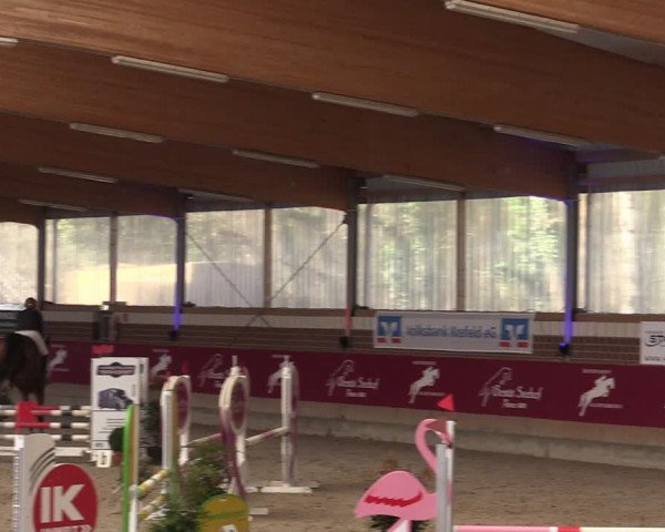 Reitturnier Kaldenkirchen - Gestüt Seehof 2024
