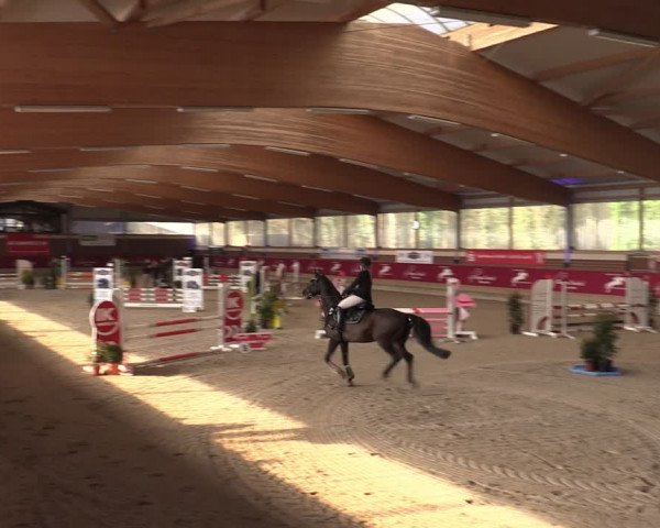 Reitturnier Kaldenkirchen - Gestüt Seehof 2024