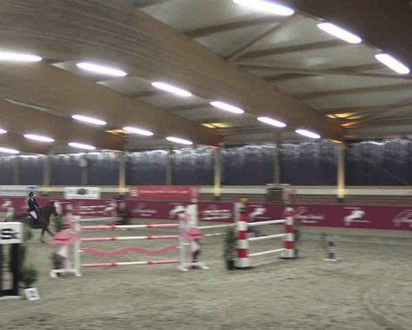 Reitturnier Kaldenkirchen - Gestüt Seehof 2024