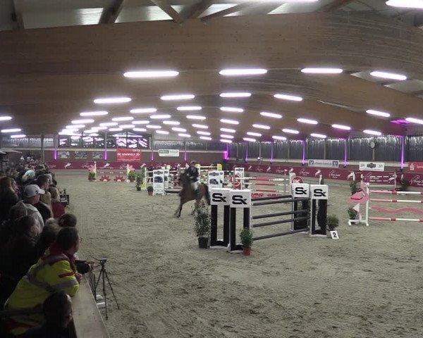 Reitturnier Kaldenkirchen - Gestüt Seehof 2024