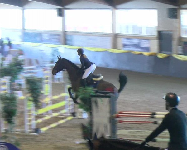 Reitturnier Sauldorf-Boll 2024