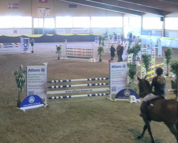 Reitturnier Sauldorf-Boll 2024