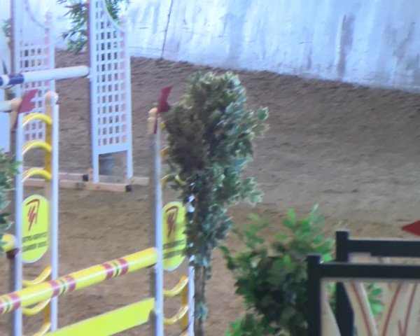Reitturnier Sauldorf-Boll 2024